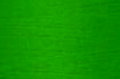Christmas Green Color Chip
