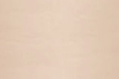 Light Pink Color Chip