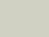 Greige Color Chip